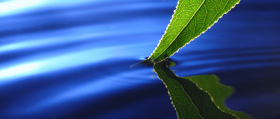 faqs-header-940.jpg